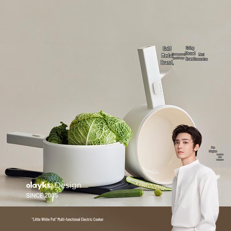 Olayks Multi-Function Electric Cooking Pot CN