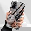 Tempered Glass Phone Cases for Xiaomi Redmi Note 10 11 Pro 10T 10s 11s Note11 11Pro Cover Hard PC Back Coque Note10 10 s 10Pro