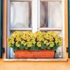 36cm Silk Flower Wedding Bouquets Fake Flower Decorative Flower Artificial Begonia Flower  Bridal