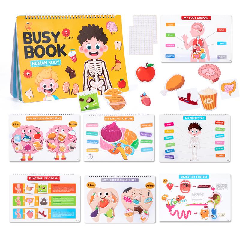 Children s Busy Book Body Structure Book Kids Early Education Cognitive Human Body Creative Pasting Book Flipping Quiet Book