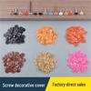 M4 Concealing Plastic Cap: Decorative Screw Cover Plug