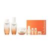 Essential Elasticity Care Set (3 Types)