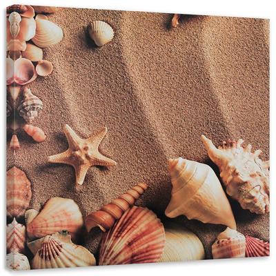 Canvas Print Shells Beach Sea Lake