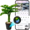 Mini cameră în plantă WF-JH53 WiFi
