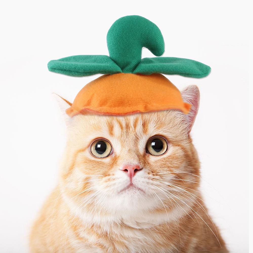 Pet hat funny costume chicken leg headdress, apple hat, cat cute leaky ear hat