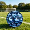 Fotbal – Mingi de fotbal