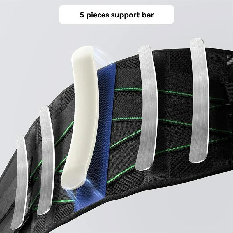 Adjustable Breathable Mesh Lumbar Back Brace Waist Support Back Support for Adults Manufacturer's Sports Equipment