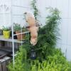 Solar Gartenstatue Eichhörnchen Harz Hängendes Tier LED Laterne Außen Terrasse Haus Garten Rasen Balkon Einweihungsdekorationslicht