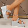 Silver Chunky Platform Sandals for Women 2025 Summer Fashion Braided Strap Wedge Heel Sandals Woman Thick Bottom Beach Slippers