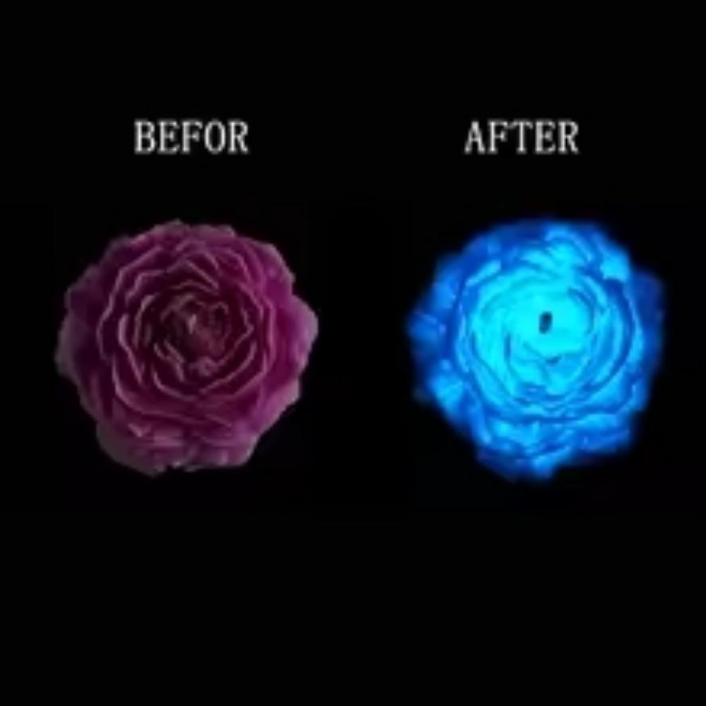 

Y 40℃ Низкотемпературная соевая восковая свеча Градиентная светоотражающая роза и пион ароматерапевтические свечи, День святого Валентина Любовь Романтический подарок Midnight rose, purple