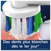Oral-B Pro 3D White - Brossettes Pour Brosse À Dents - 3 Unités
