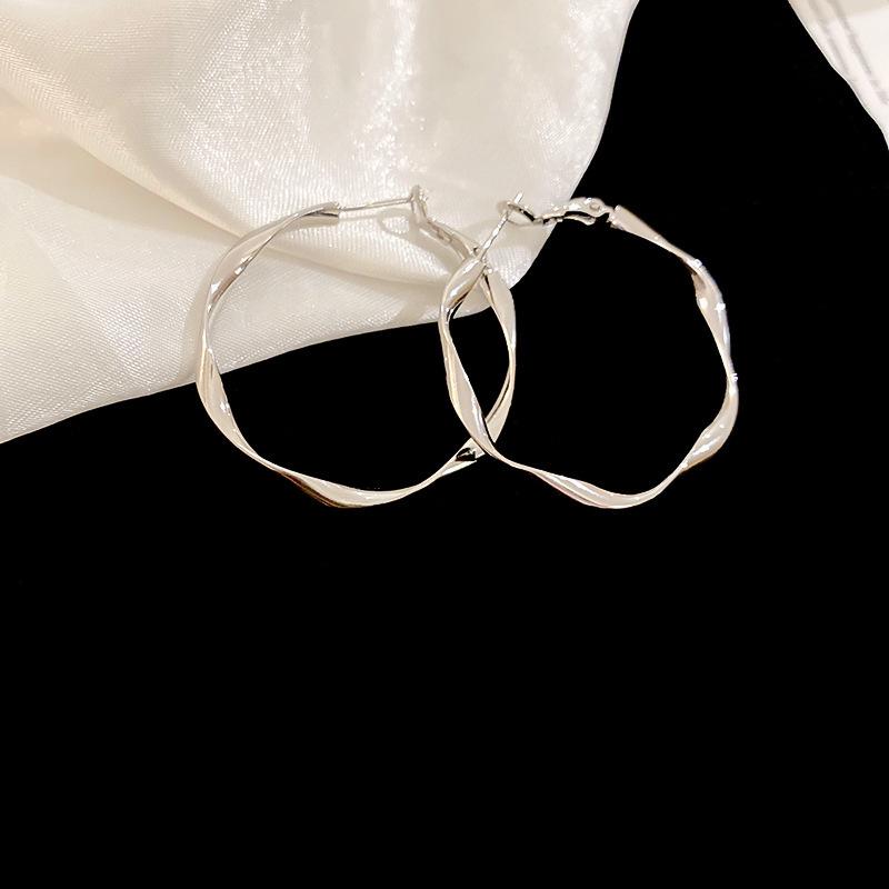 High-End Light Luxury Cold-Style Metal Hoop Earrings