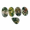 Moss Agate Cabochon Lot of 5 Stones | Mixed Shape Moss Agate Gemstone Set for Jewelry Making