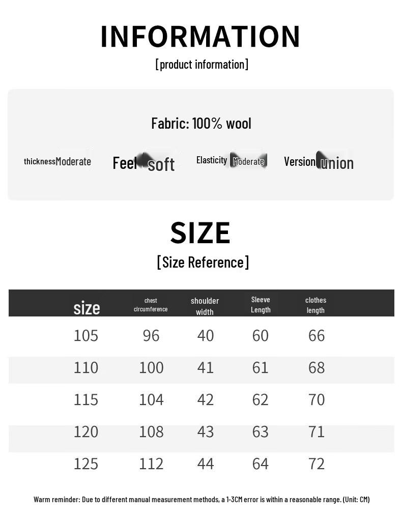 Men's V-Neck 100% Wool Sweater