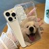 Funny Cute Animal Dog Phone Case For Samsung A73 A71 A56 A55 A54 A53 A52 A51 A36 A35 A34 A33 A32 A26 A25 A24 A23 A22 Clear Case