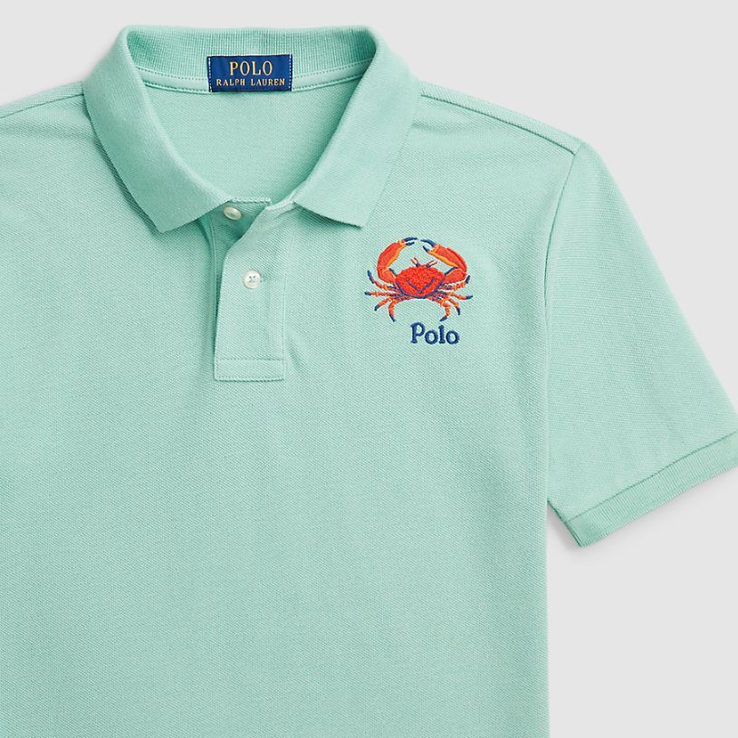 Polo Ralph Lauren Polo Shirt Ss24 Letter Crab Embroidery Casual Short Sleeve T-Shirt Kids Tops Celadon CWPOKNIY8021085-300
