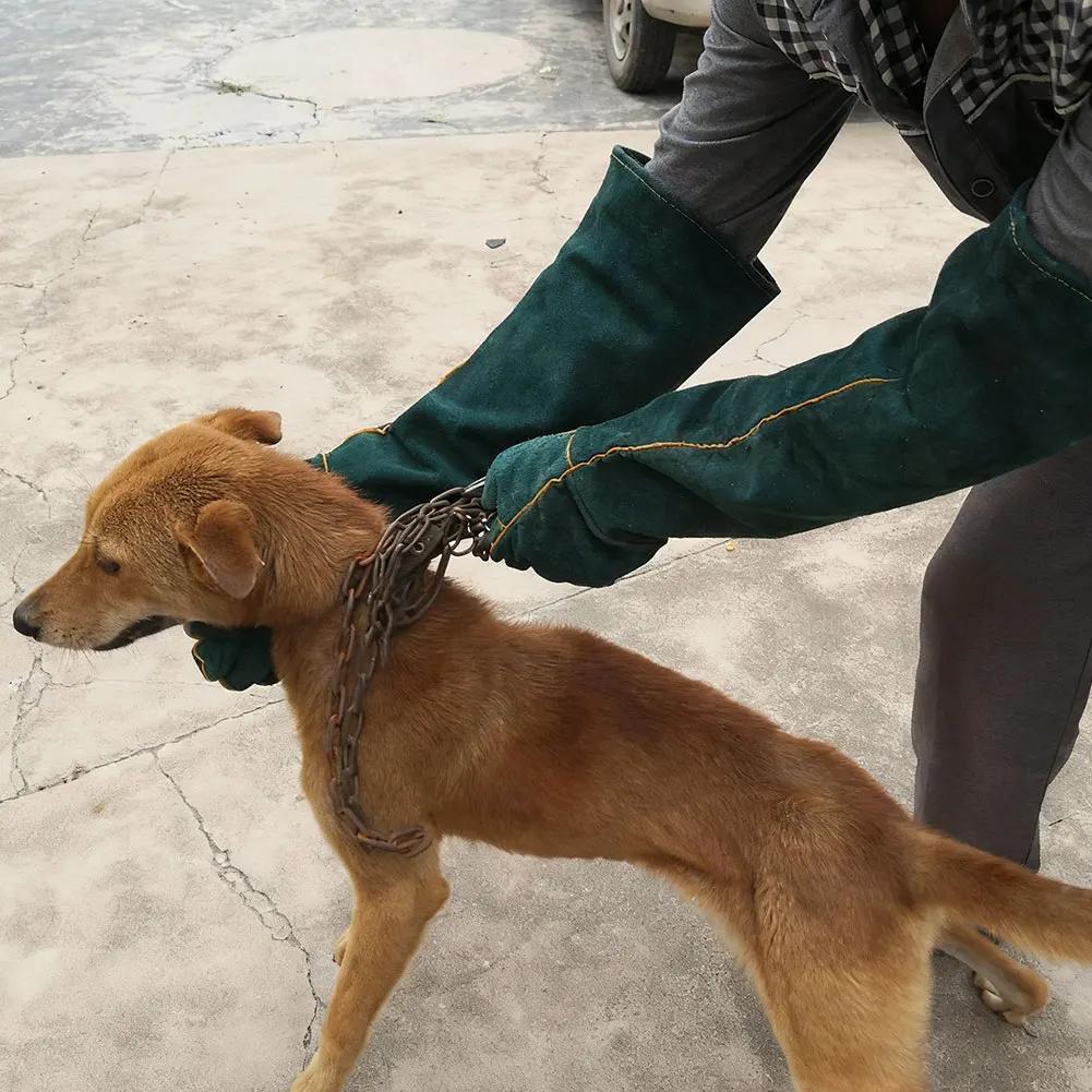 Long Thick Green Leather Anti-Bite Gloves Anti-Scratch Safety Handling Protection Gloves for Dogs Cats Reptiles