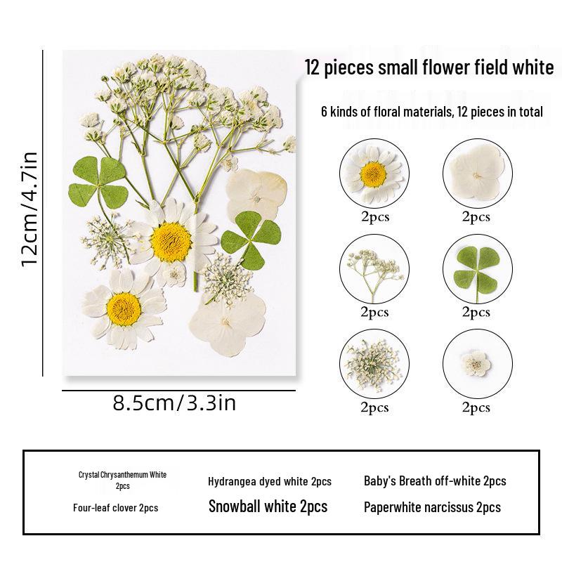 DIY Dried Flower Specimen Sticker Set for Kids: Handmade Pressed Flower Frames & Resin Bookmark Craft Kit