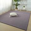 Ultra Soft Short Plush Carpet Anti Slip For Living Room Modern Sofa Area Rugs Children's Bedroom Game Mats Bedside Carpet Gray