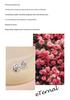 S925 Sterling Silver Rose Stud Earrings for Girls - 2025 Niche Design, Exquisite and Versatile Gift for Girlfriend.