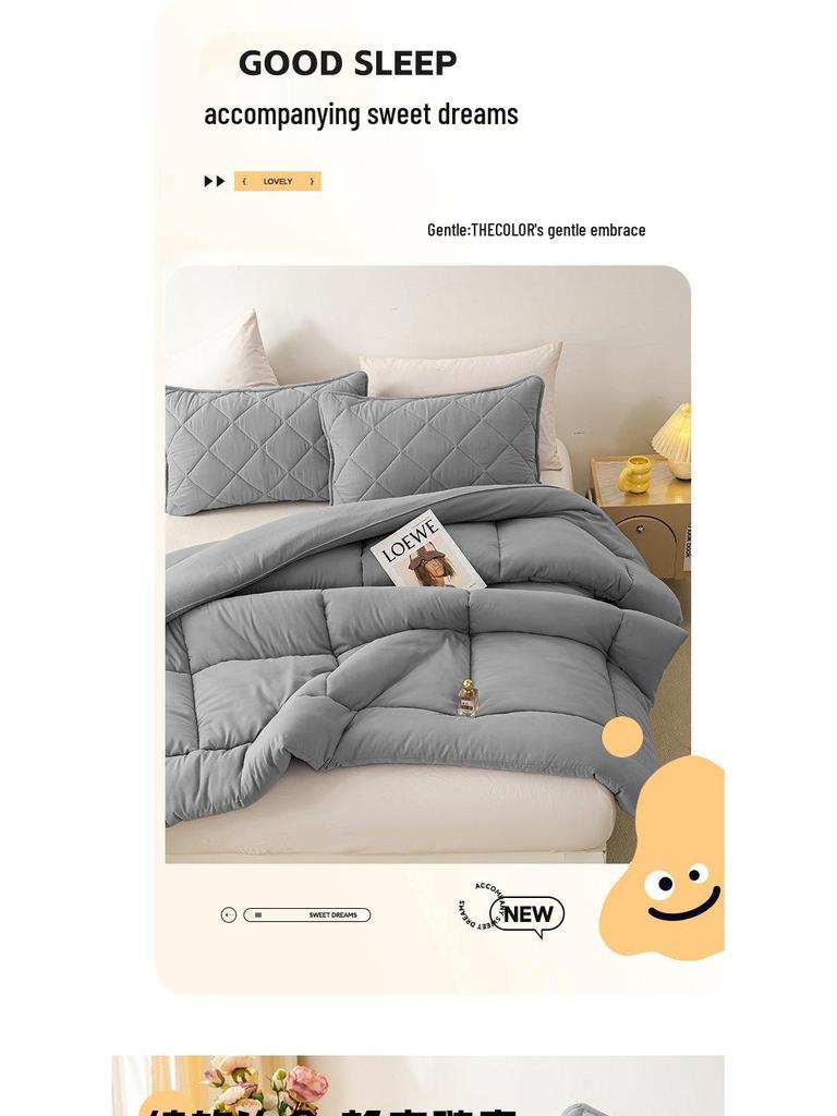 Four Seasons Brushed Quilt: Thick Silk Cotton for Spring, Autumn, and Winter – Ideal for Dorms and Hotels