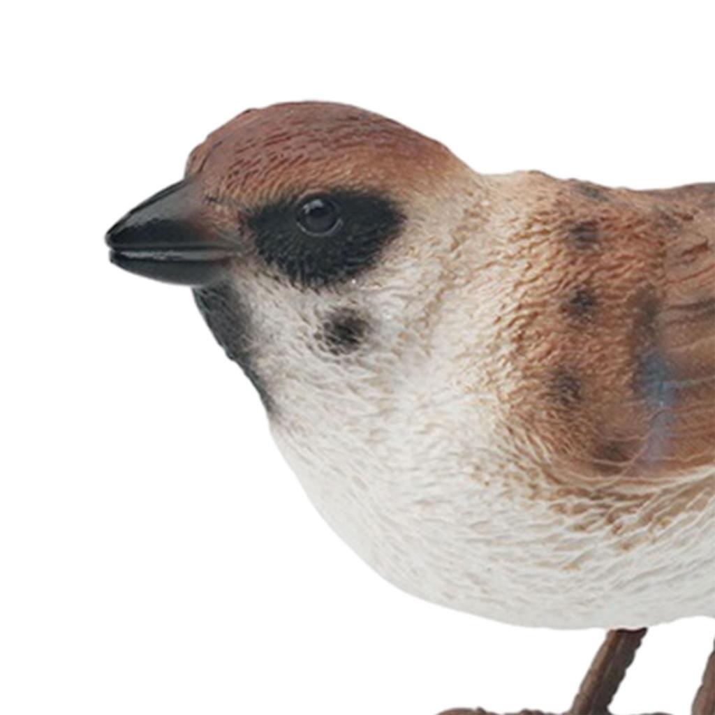 Realistic Bird Figure DIY Crafts Handpainted for Boys Home Decor Bird Figurines for Home Desktop Party Birthday Decoration