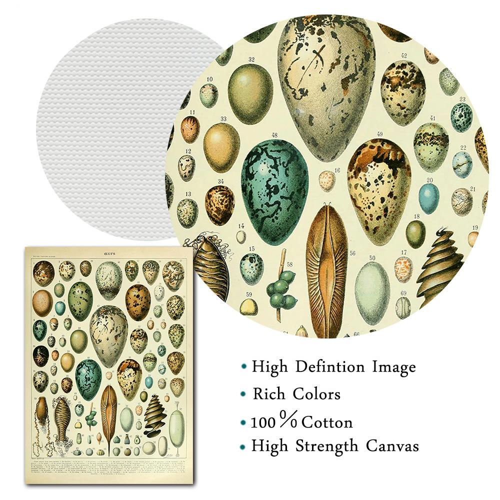 Adolphe Millot Botanisches Poster Blumen Früchte Gemüse Eier Pilze Leinwandmalerei Wandkunst Leinwandmalerei Heimdekor