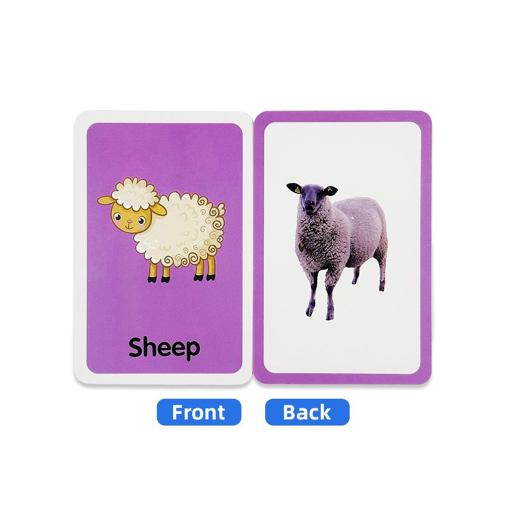 36 Double-Sided Animal Cognitive Cards, Kidsren's Enlightenment Picture Learning, Paper Fun Teaching Cards
