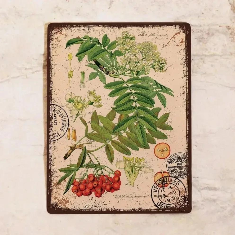 Vintage Metal Print "Rowan" (20×30 cm) – Cozy Stylish Kitchen Decor Accent