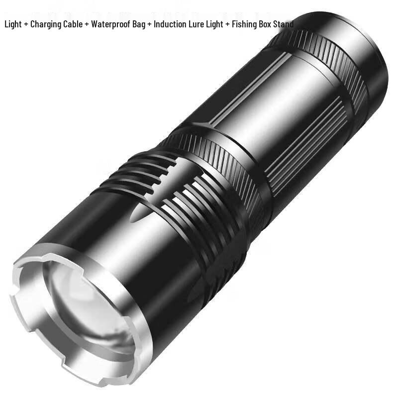 Dragon Sentinel Xenon Night Fishing Light Kit Universal