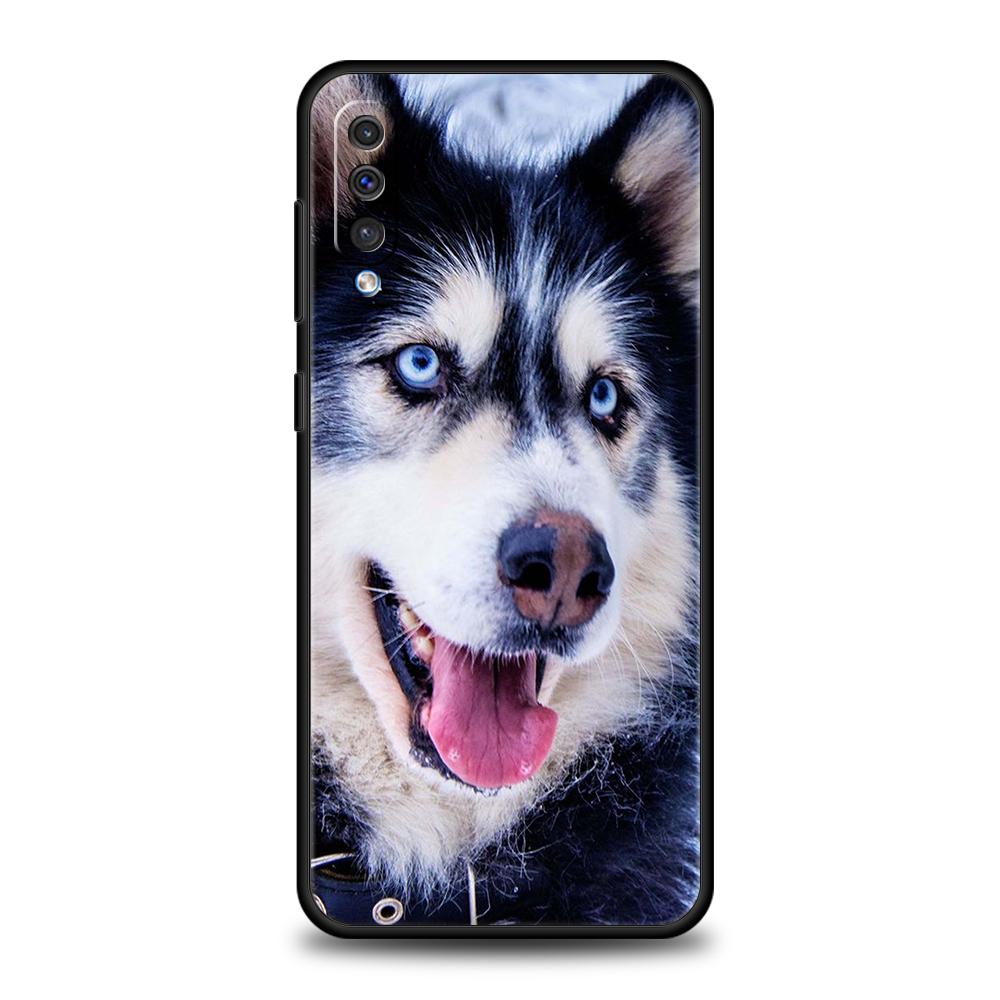 Siberian Husky Sled Dog Phone Case for Samsung Galaxy A24 A13 A53 A73 A33 A22 A12 5G A02 A03 A70 A50 A10 A20 A30 Silicone Cover