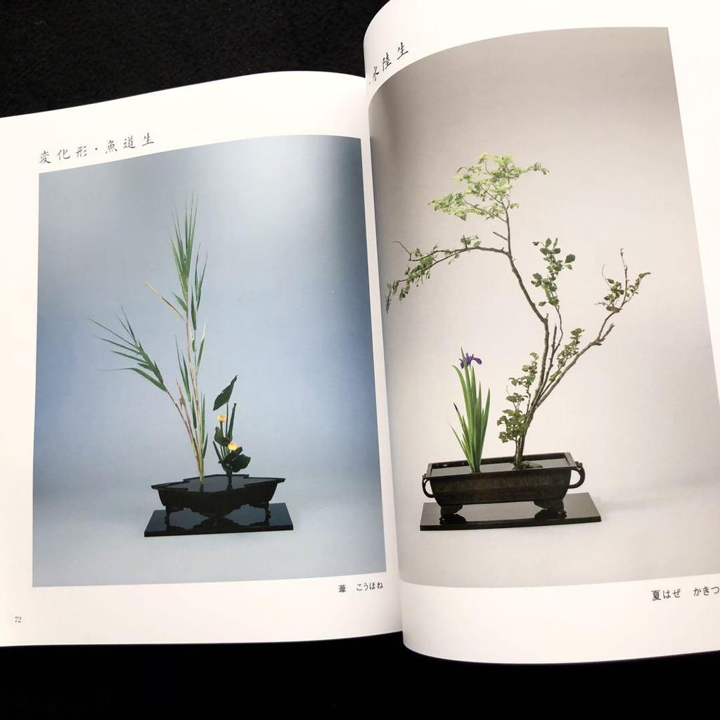 [USED] Kobayashi Shunso's Collection of Works "Flower Makeup - From Two To Three Yin and Yang" 2024, Nippon Kadosha