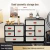 Retro-Style Plastic Cosmetic Storage Cabinet with Drawers