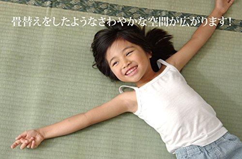 IKEHIKO Nishijin Igusa Rug, Edo-style (2 Tatami Mats), Approx. 176 X 176 Cm, Made In Japan, Thread-Pulled Weave, Cypress Finish #6301032