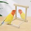 Parrot Perch & Mirror Toy Set for Balcony - Bird Platform & Toy Supplies