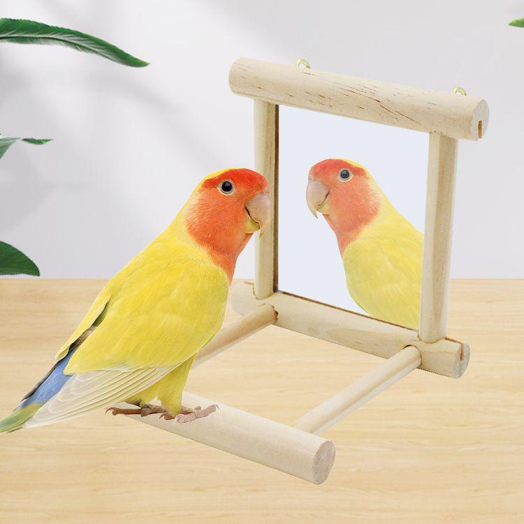 Parrot Perch & Mirror Toy Set for Balcony - Bird Platform & Toy Supplies
