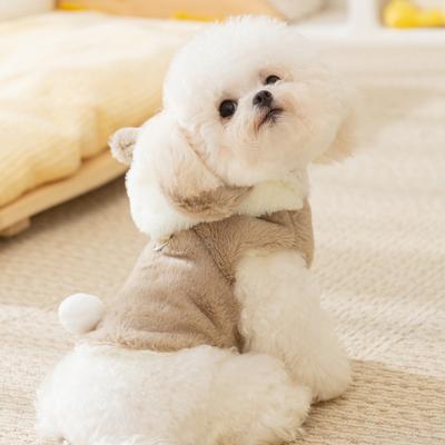 Abbigliamento e scarpe – Cappotti e giacche per cani