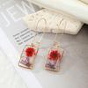 Dry Flower Drop Earrings Dried Flower Dangle Earrings Alloy Material Jewelry
