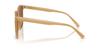 Sunglasses 0HC8413BD MILKY TEA 58 [Coach]