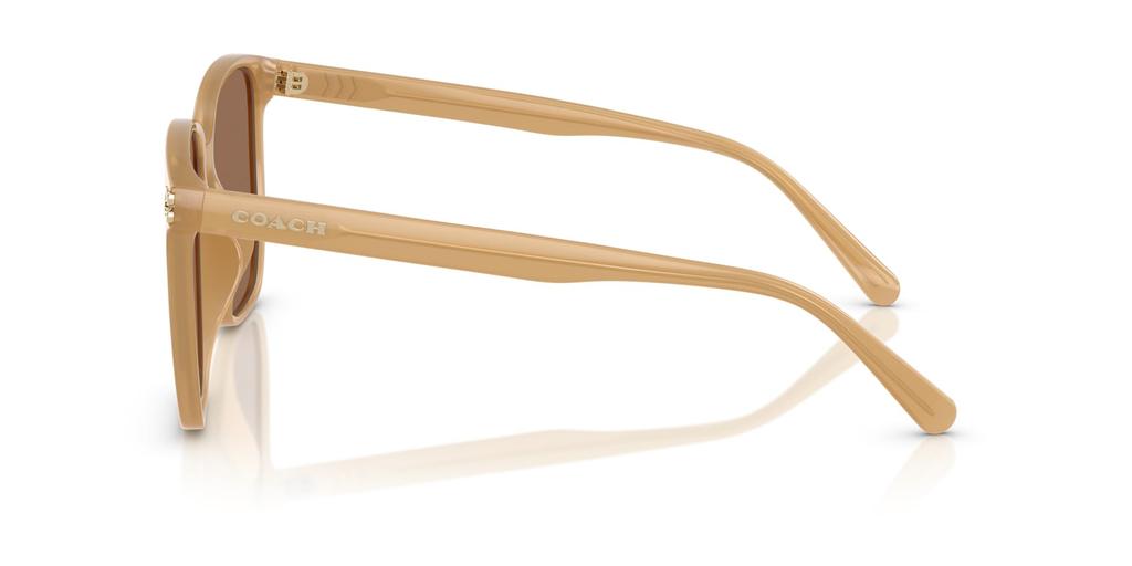 Sunglasses 0HC8413BD MILKY TEA 58 [Coach]