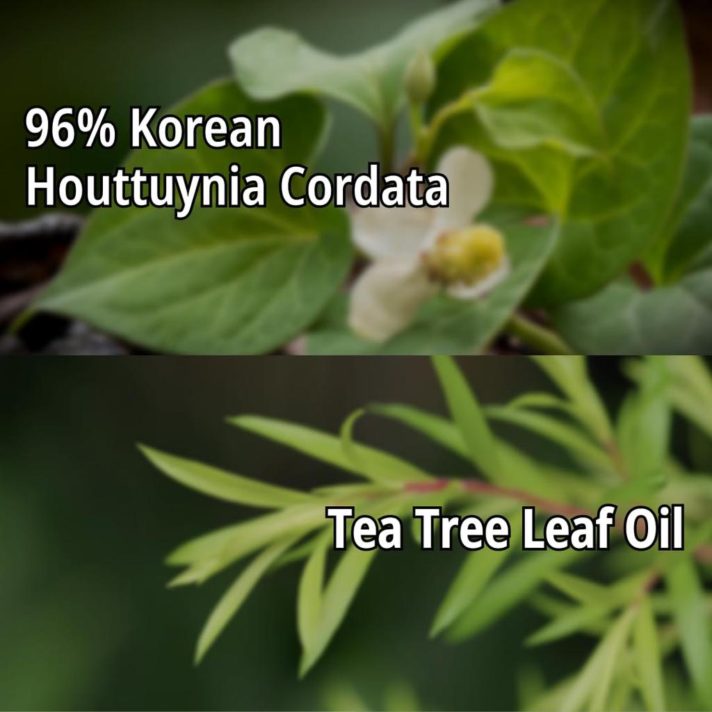 daymellow Hydrating Skincare Heartleaf Soothing Gel Korean Cosmetics Hair and Body Care Serum Houttuynia Cordata Real Soothing Gel 10.58 oz/300g