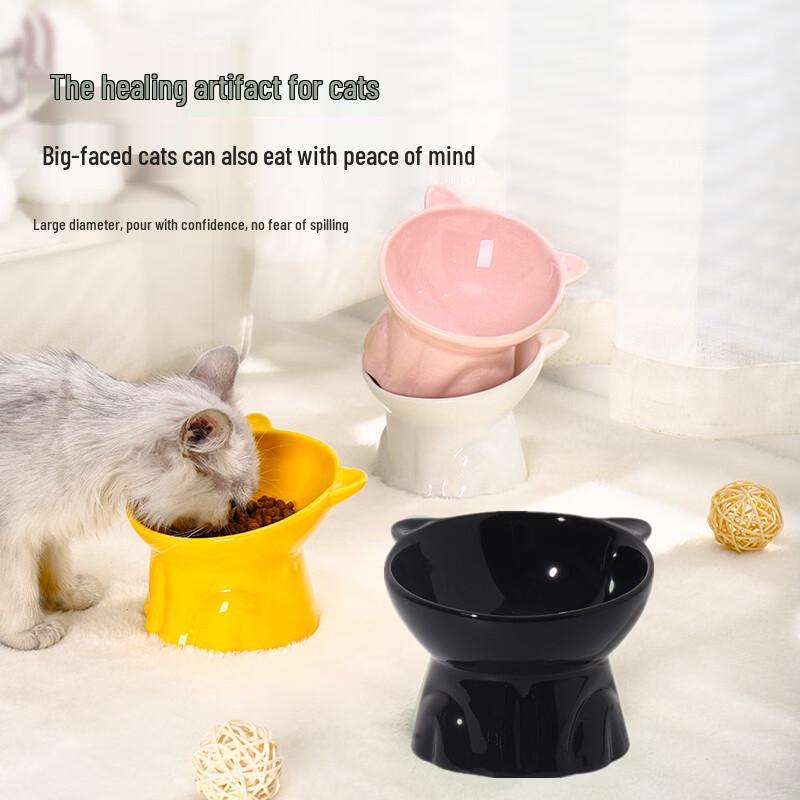 Changbaosen Elevated Ceramic Pet Feeding Bowl Princess Style
