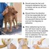 1pc Grooming Dog Comb Stainless Steel Wooden Handle Stripping Knife Pet Hair Remover Pluck Excess  Accessories