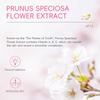 6pcs Cherry Blossom Collagen Skincare Set, Moisturizing Nourishing Facial Care Kit, Includes Cleanse