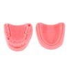 2 buc Kit de Antrenament Chirurgical pentru Sutură Medicală a Pielii Pad Modul de Antrenament pentru Sutură Orală/Gingivală Dentară Model de Sutură pentru Parodontită din Silicon