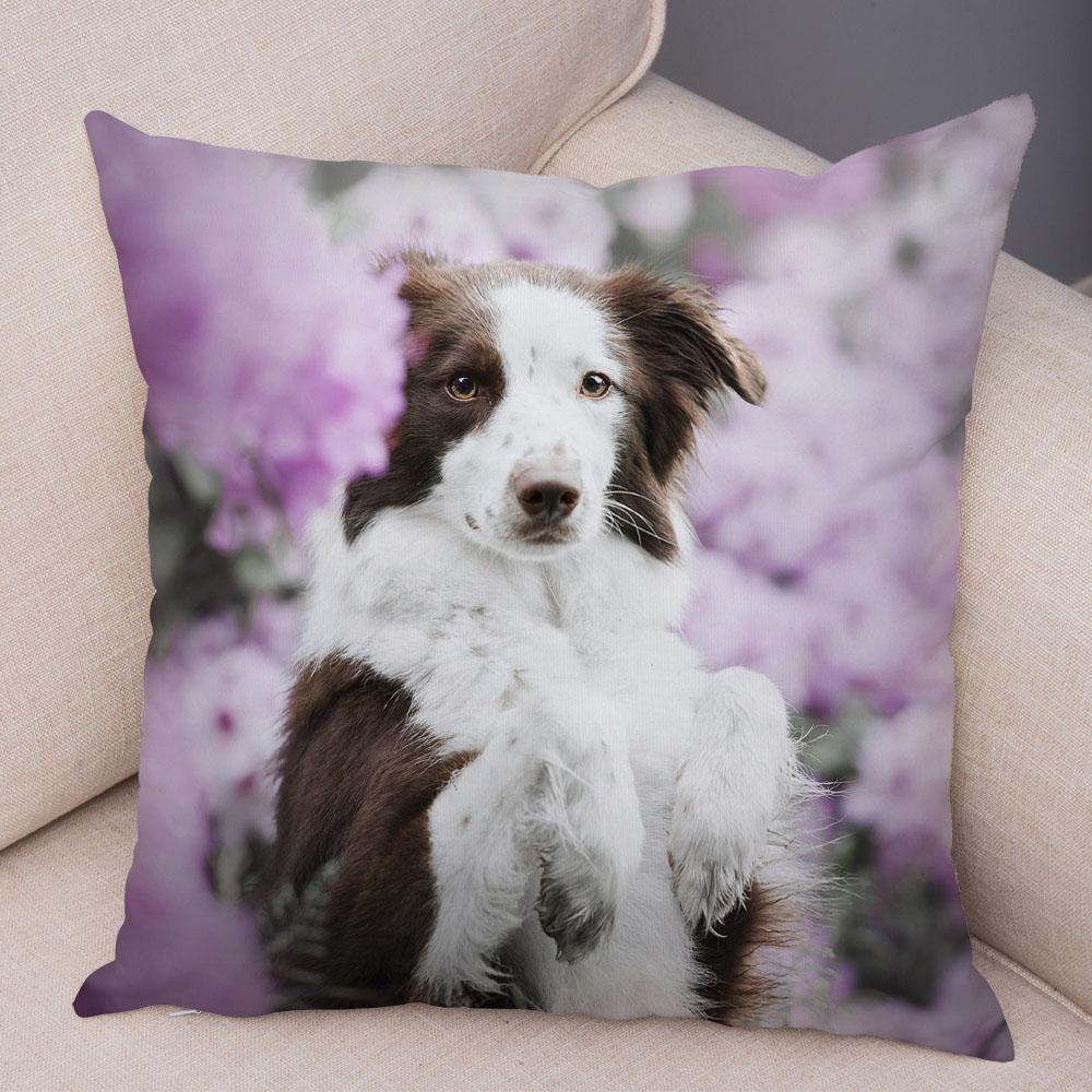 Cute Pet Animal Dog Print Pillowcase Scottish Border Collie Cushion Cover  Sofa Car Decoration