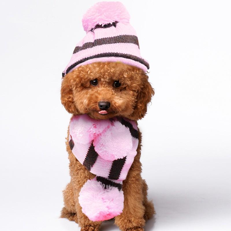 Pet Winter Warmth Set: Knitted Hat Scarf Paw Covers Small Dogs Cats Rainbow Pink Brown Yellow