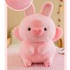 Plush Toys, Cute And Perfect Birthday Gifts For Friends And Classmates, Graduation Gifts