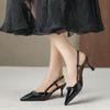 Spring and Summer Pointed Toe Thick Heels Fashionable Women's Shoes French Fairy Style Workplace Versatile High Heels