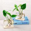 Transparent Glass Round Glass Planters Wooden Stand Plants Glass Vase  Plant Lover Gift